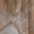 002rouze_cecile.jpg