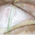 003rouze_deux_voix.jpg