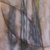 005rouze_lichen.jpg